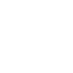 Velion