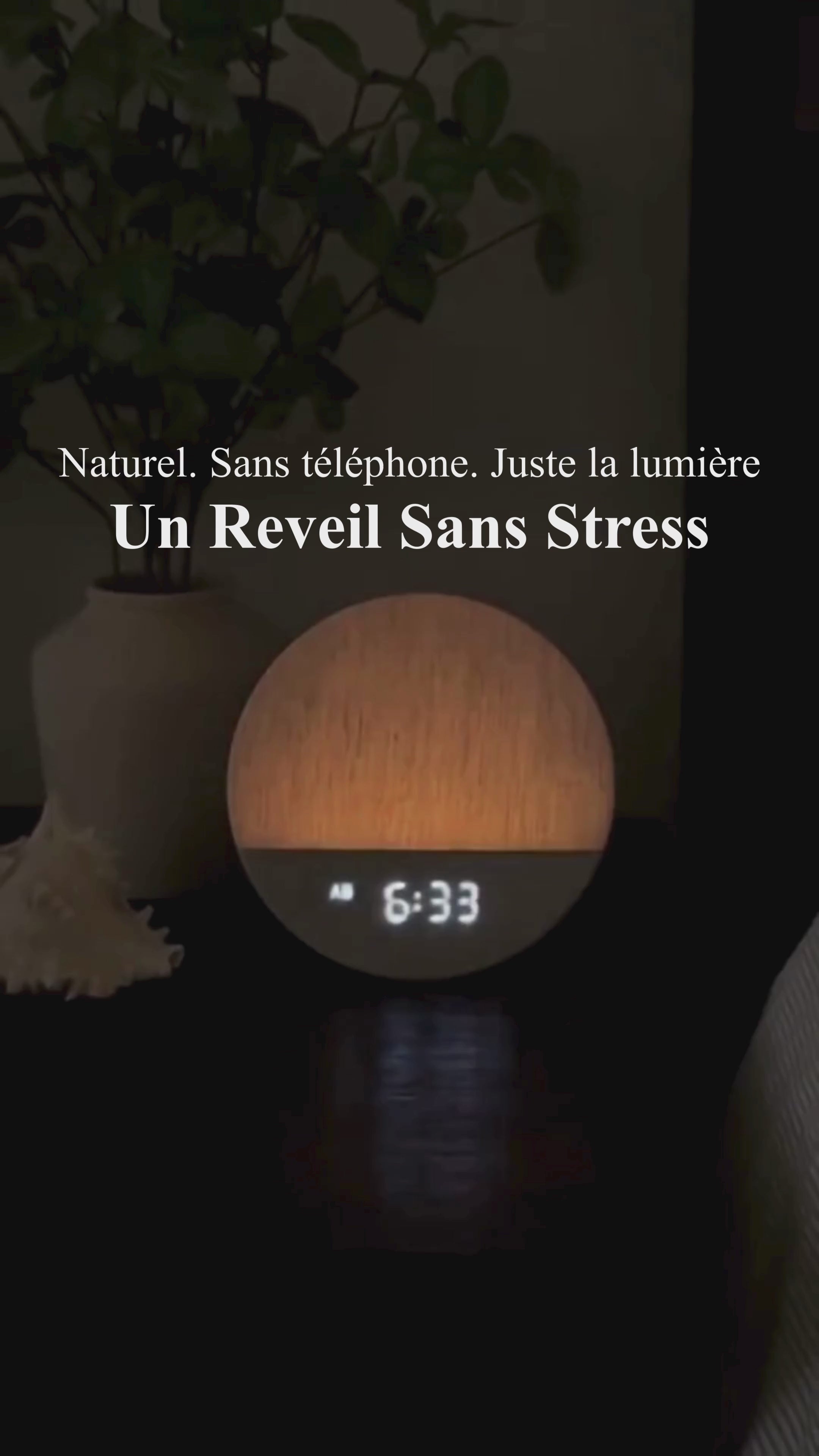 Charger la vidéo : 